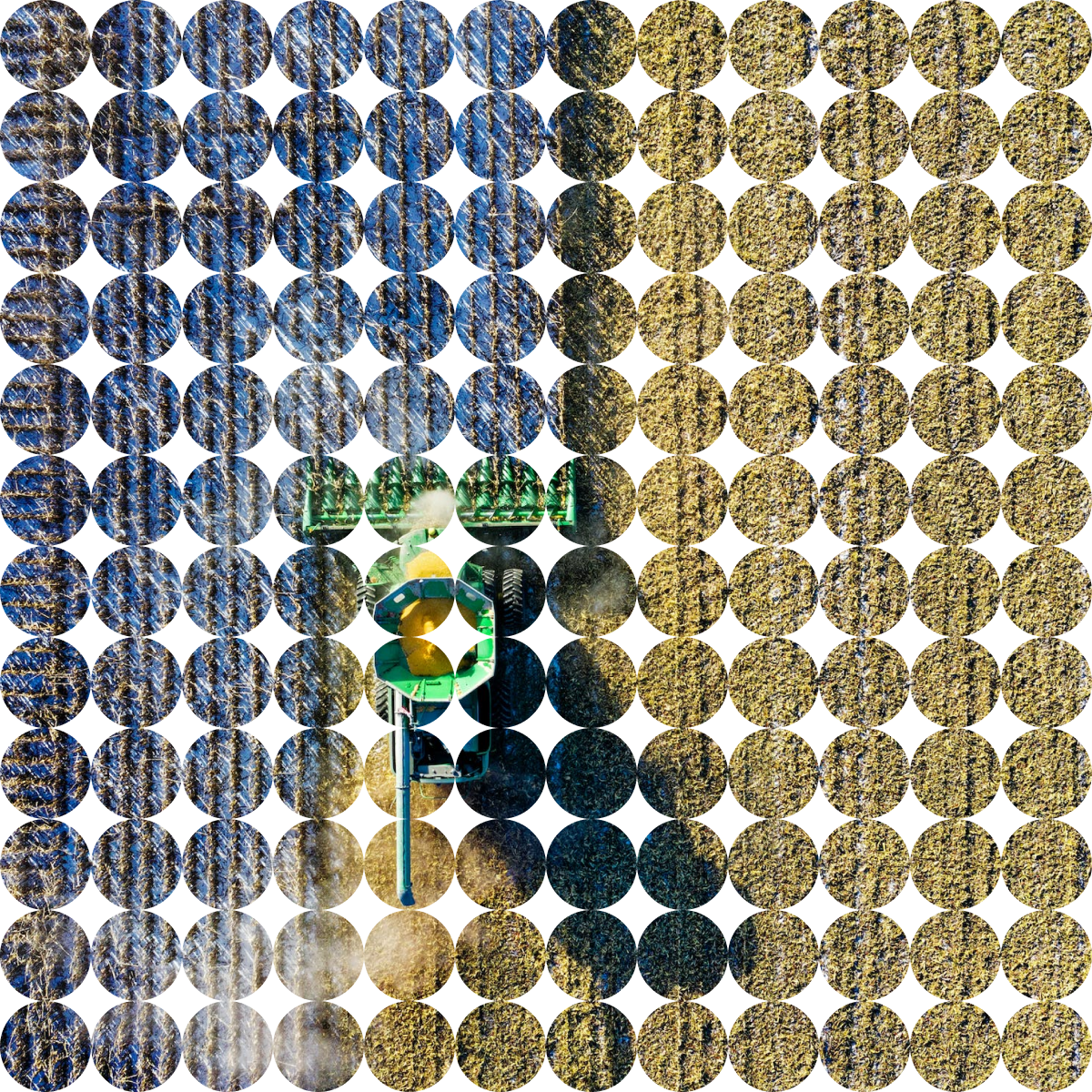 Mask group (33)